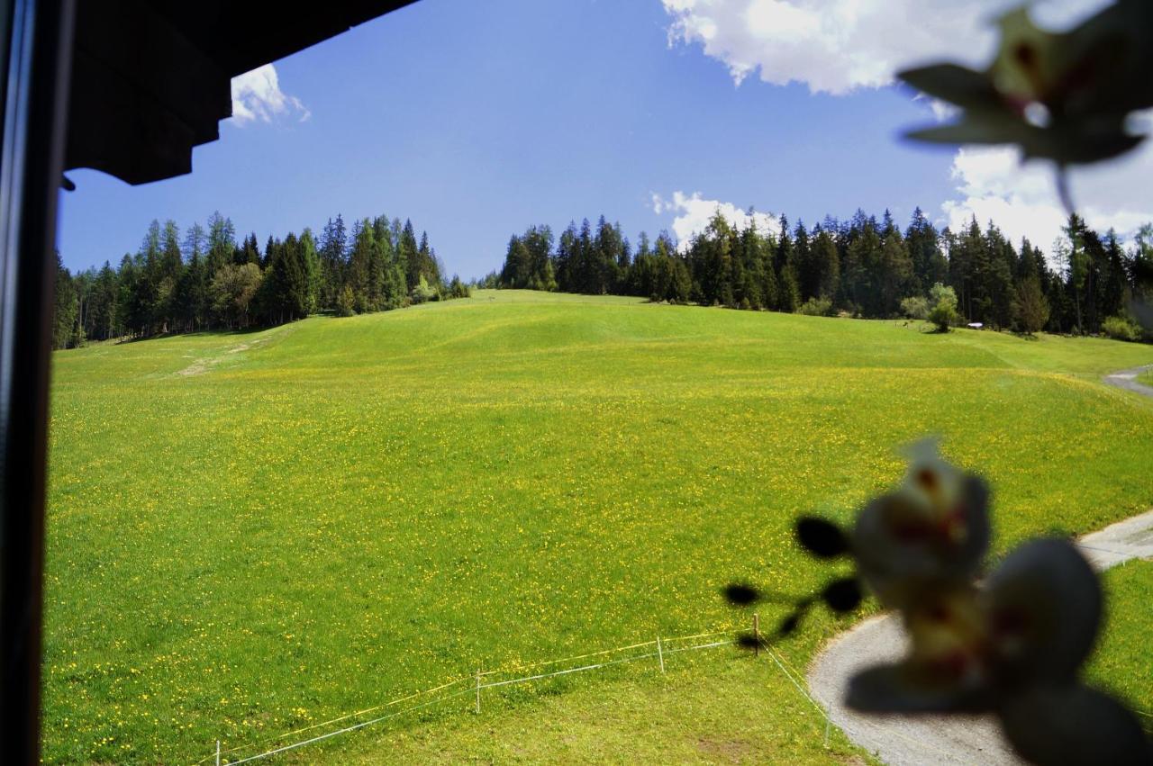 Sauschneidhof - Radstadt Esterno foto
